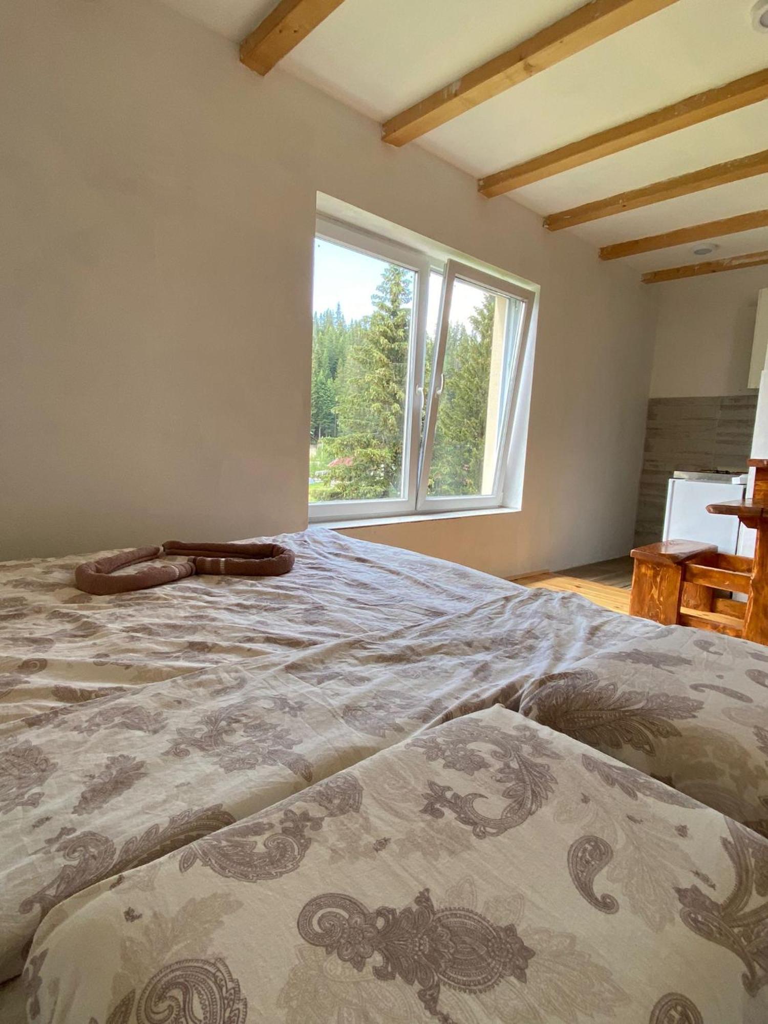 Apartment Durmitor Zabljak  Room photo