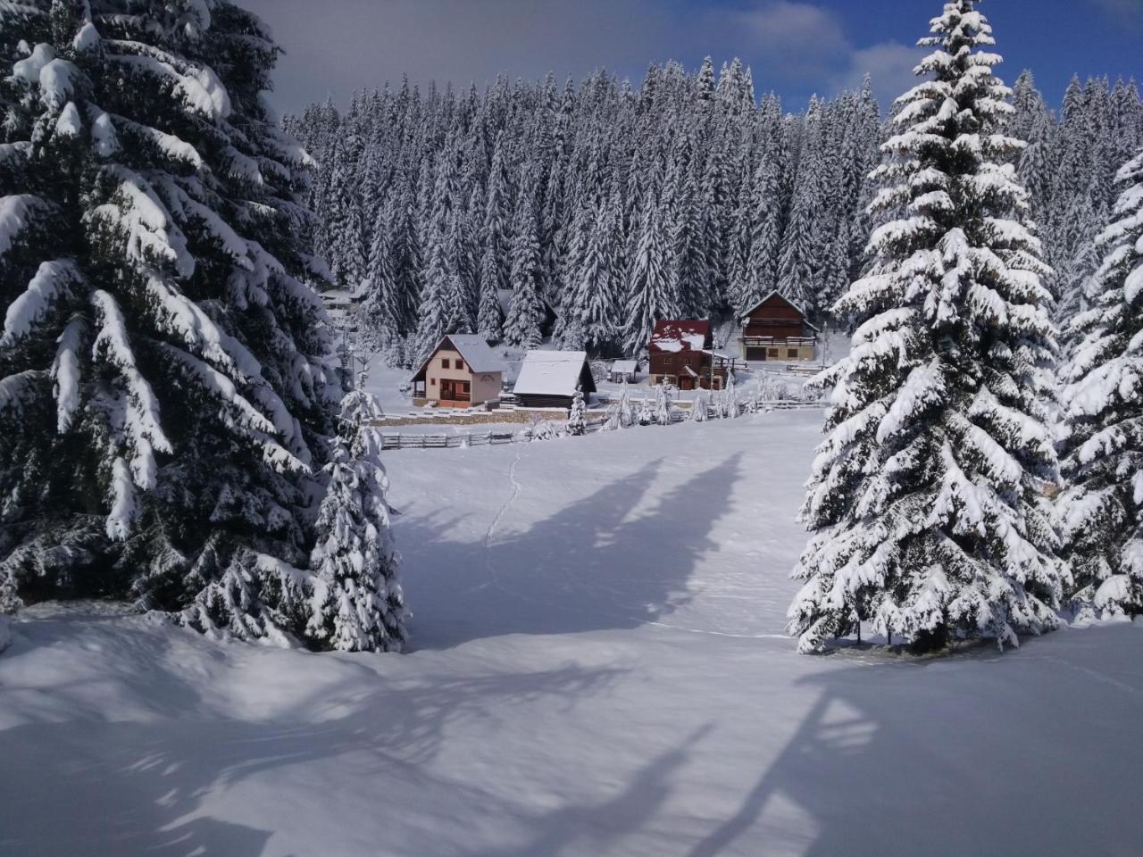 Apartment Durmitor Zabljak  Exterior photo