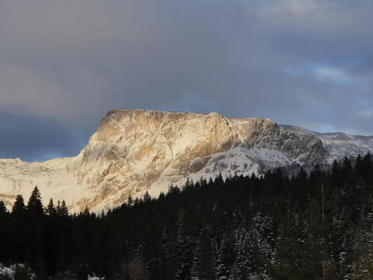 Apartment Durmitor Zabljak  Exterior photo